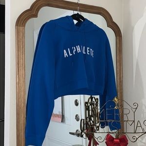 BRAND NEW ALPHALETE CROPPED HOODIE